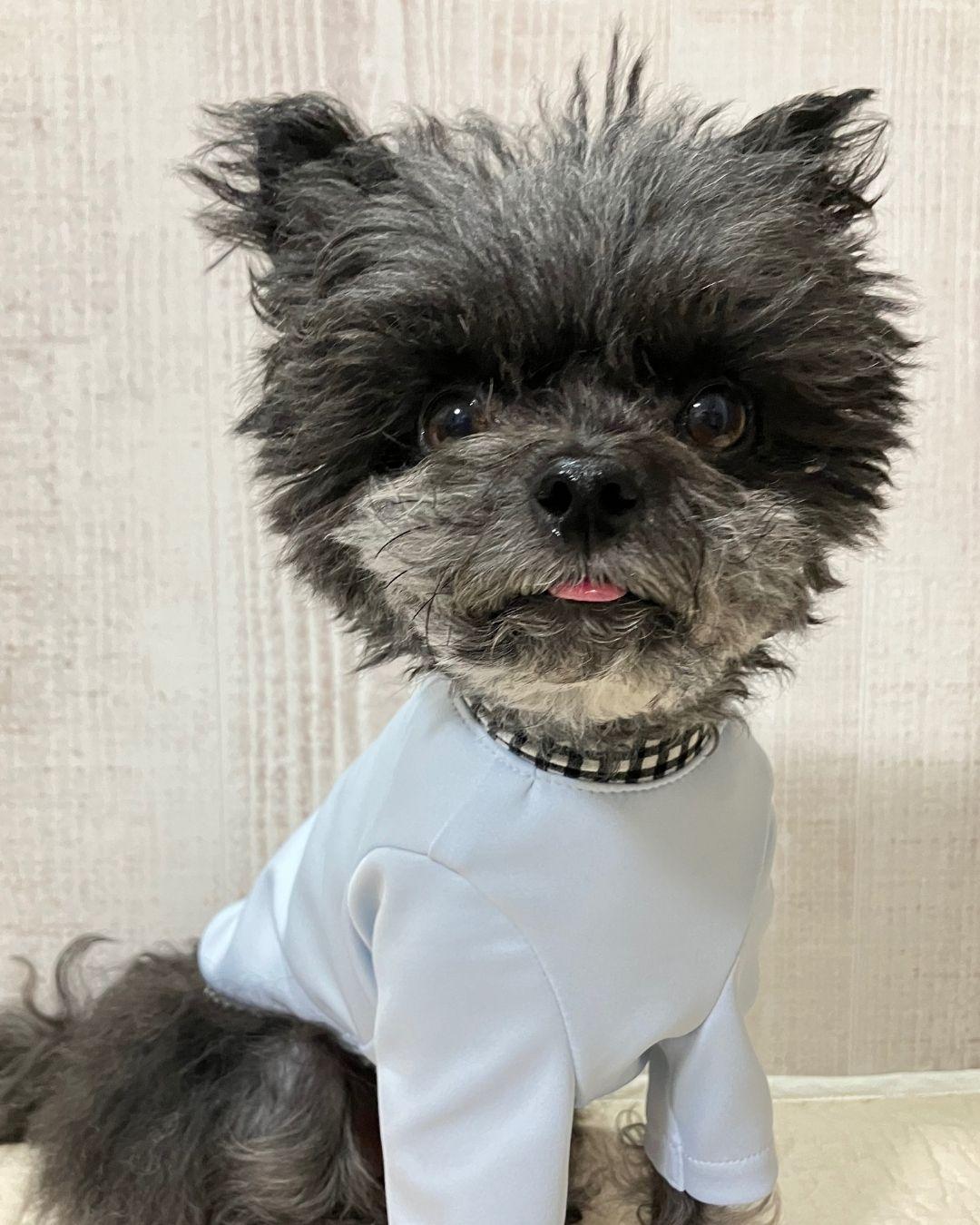 ひんやり💙モチモチ長袖Tシャツ500円引きクーポンありの商品画像
